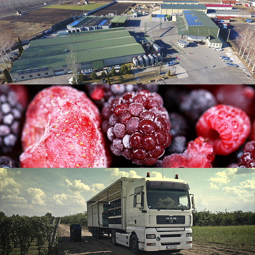 Vegh-var szolgáltatások